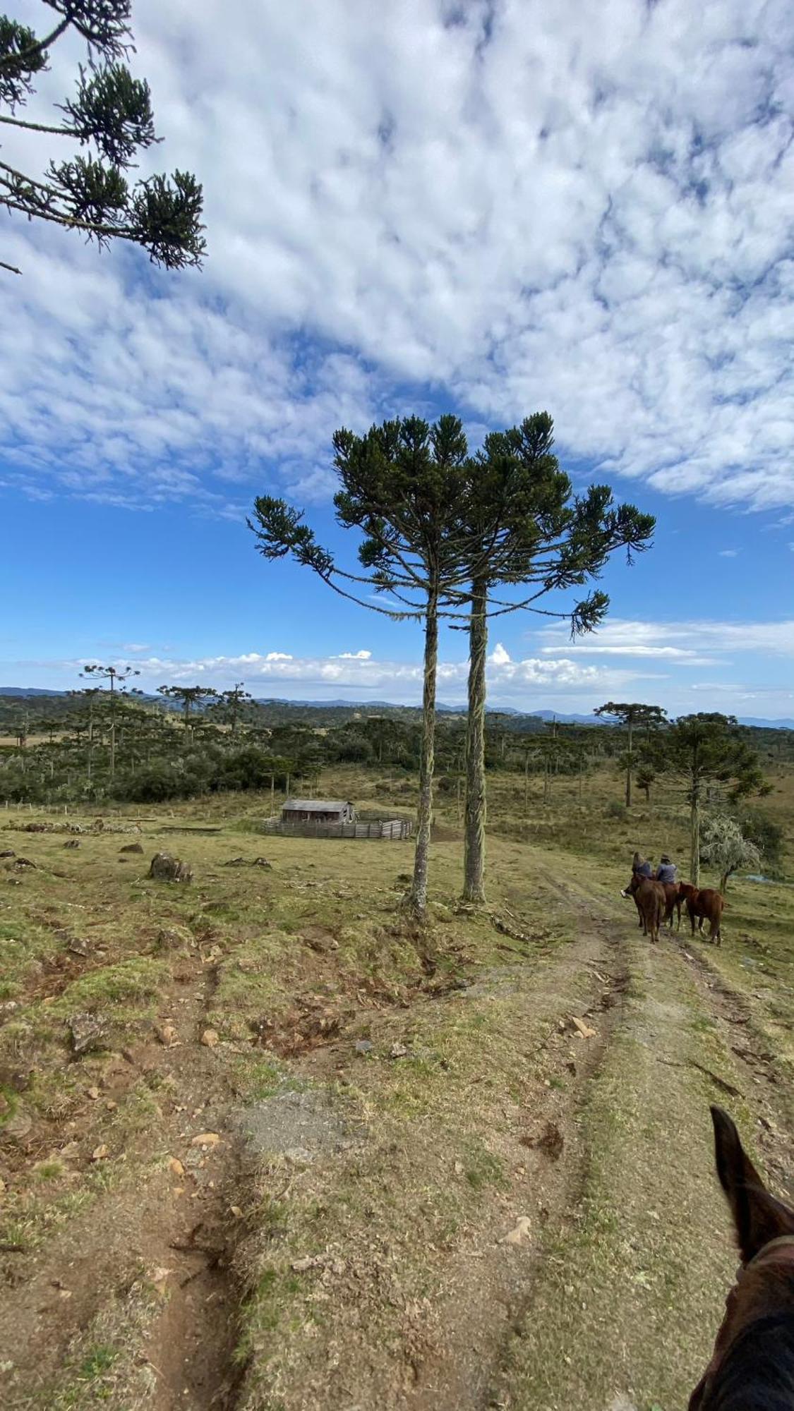 Vale Tancon Eco Village Urubici Esterno foto